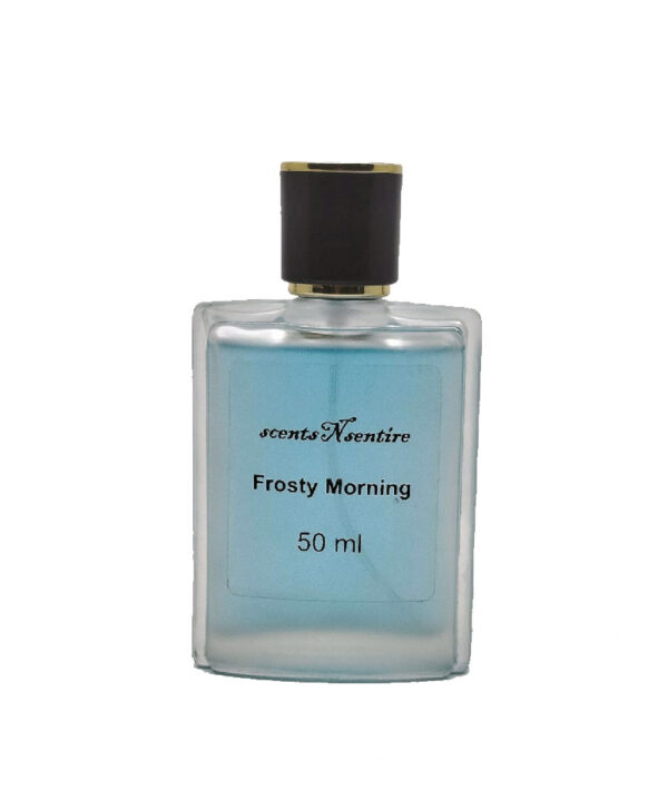 Foresty Morning