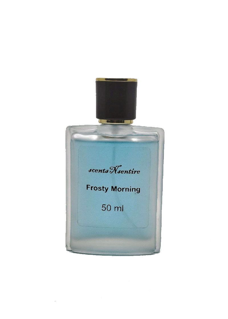 Foresty Morning